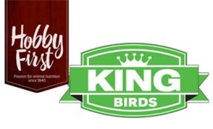 king-hf-logo 288-175 copy